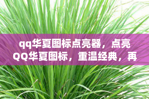 qq华夏图标点亮器图片