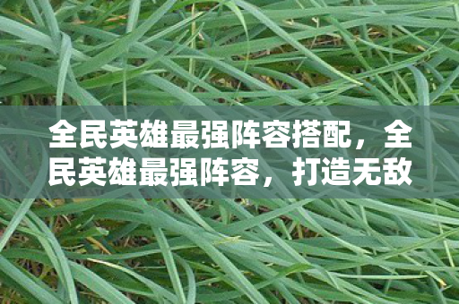 全民英雄最强阵容搭配图片