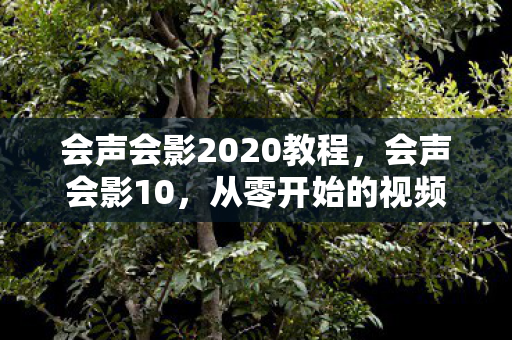 从零开始的视频编辑之旅图片