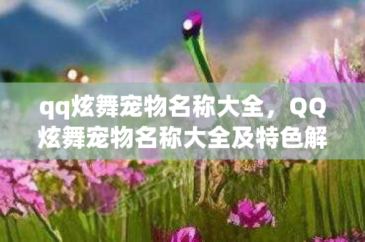qq炫舞宠物名称大全，QQ炫舞宠物名称大全及特色解析