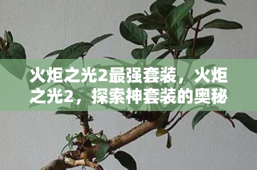 火炬之光2最强套装图片