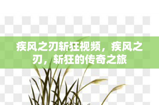 疾风之刃斩狂视频图片