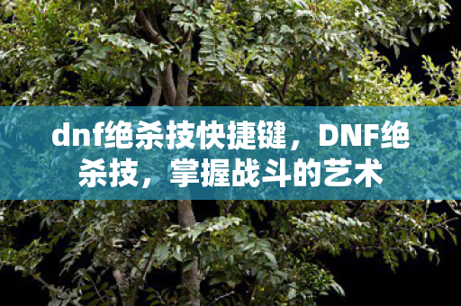 dnf绝杀技快捷键图片