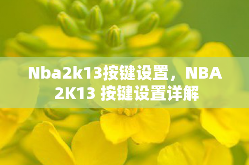 NBA 2K13 按键设置详解图片