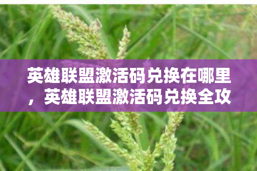 英雄联盟激活码兑换在哪里图片