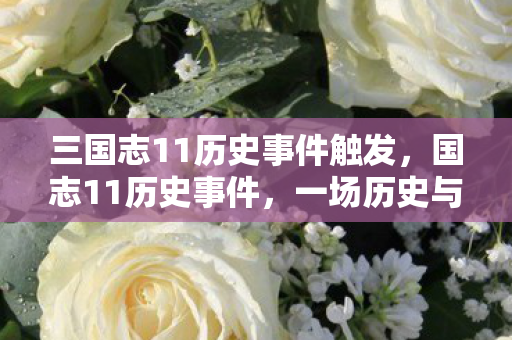 一场历史与游戏的奇妙融合图片