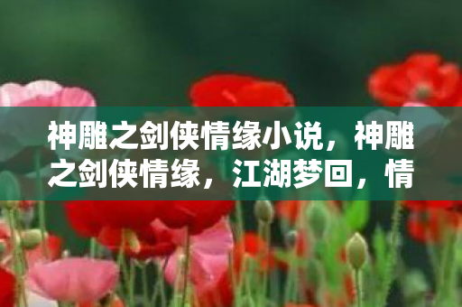 神雕之剑侠情缘小说图片