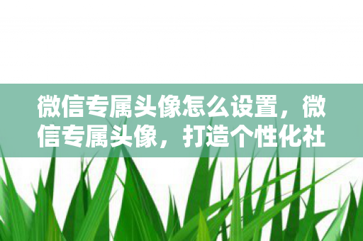 微信专属头像怎么设置图片