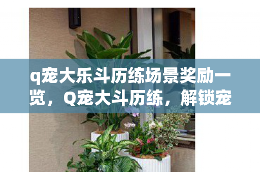 q宠大乐斗历练场景奖励一览图片