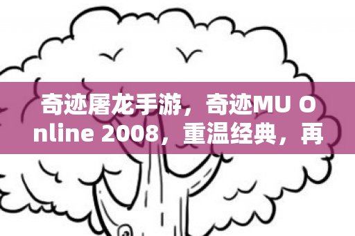 奇迹MU Online 2008图片