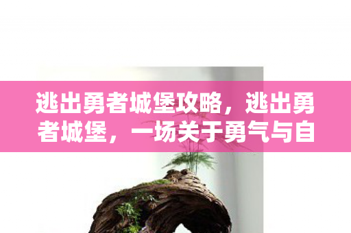 一场关于勇气与自由的冒险图片