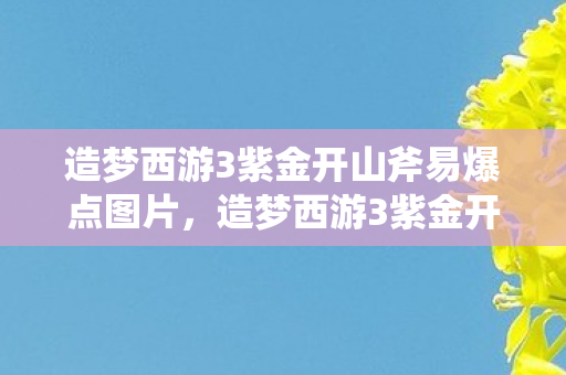 造梦西游3紫金开山斧易爆点图片图片