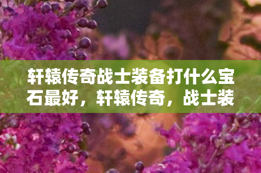 轩辕传奇战士装备打什么宝石最好图片