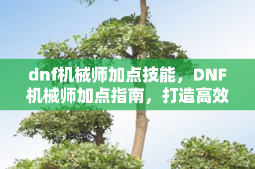 dnf机械师加点技能图片