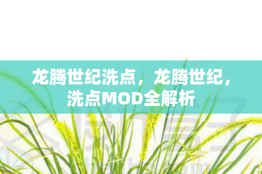 洗点MOD全解析图片