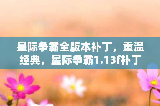 星际争霸全版本补丁图片