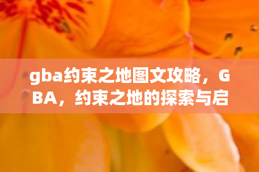 gba约束之地图文攻略图片