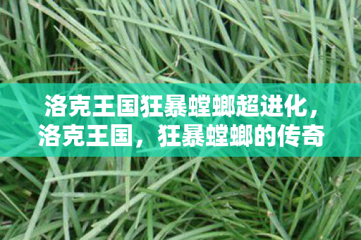 洛克王国狂暴螳螂超进化图片