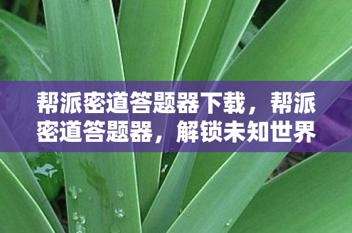 解锁未知世界的神秘钥匙图片