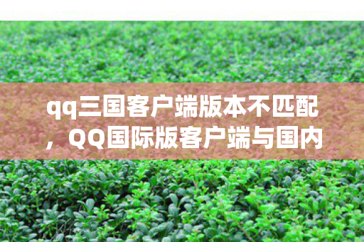 QQ国际版客户端与国内版客户端的差异与适配问题图片