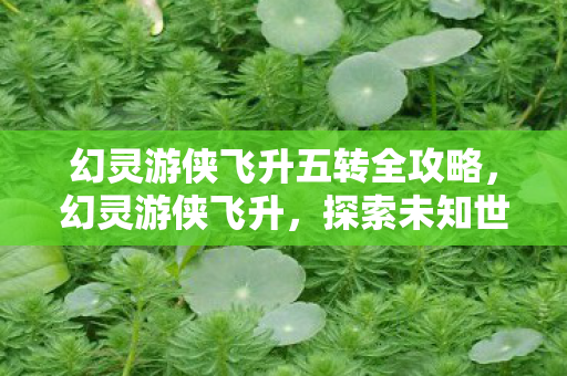 幻灵游侠飞升五转全攻略图片