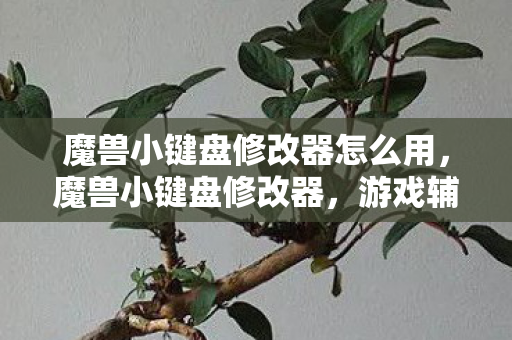 游戏辅助工具还是作弊手段图片