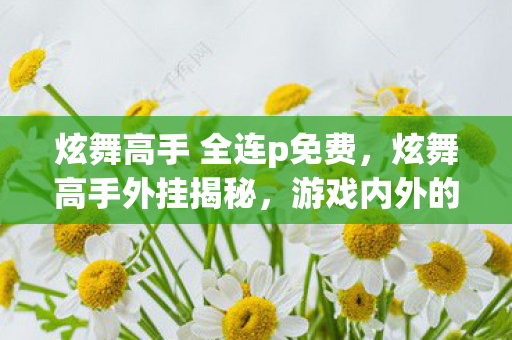 炫舞高手 全连p免费，炫舞高手外挂揭秘，游戏内外的失衡之力