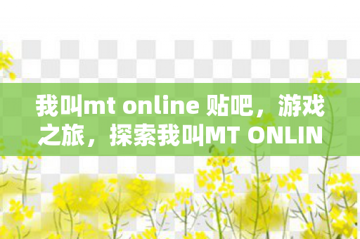 探索我叫MT ONLINE的奇幻世界图片