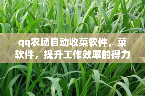 提升工作效率的得力助手图片