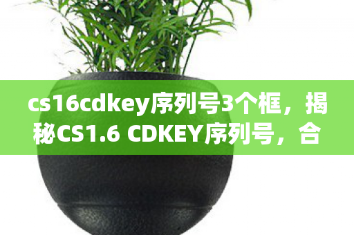 cs16cdkey序列号3个框图片