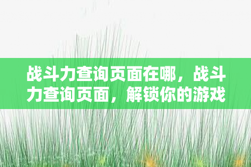 战斗力查询页面在哪图片