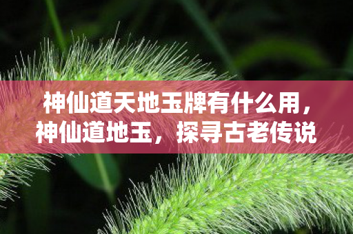 探寻古老传说中的神秘宝藏图片