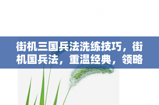 街机三国兵法洗练技巧图片