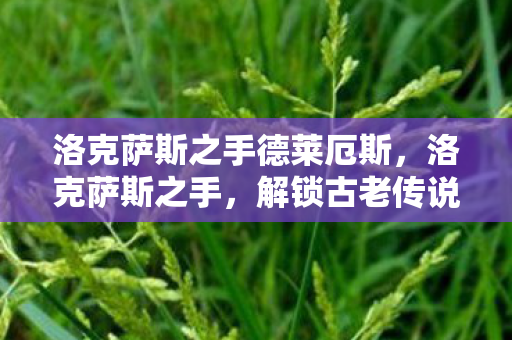 解锁古老传说的神秘钥匙图片