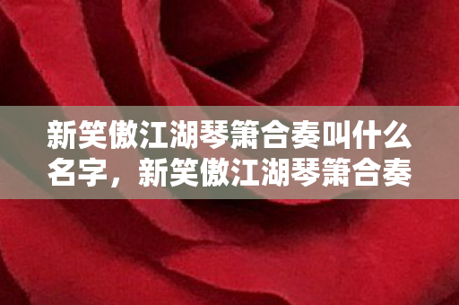 新笑傲江湖琴箫合奏叫什么名字图片