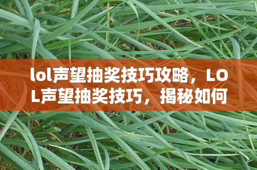 lol声望抽奖技巧攻略，LOL声望抽奖技巧，揭秘如何提升中奖概率