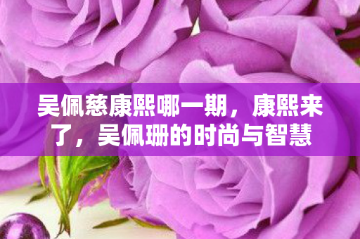 吴佩珊的时尚与智慧图片