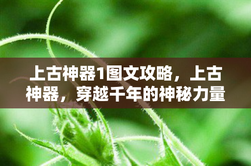 上古神器1图文攻略图片