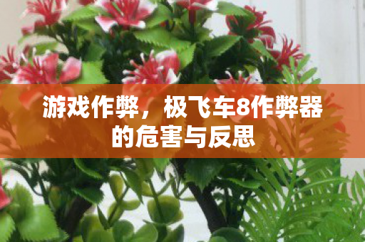 极飞车8作弊器的危害与反思图片