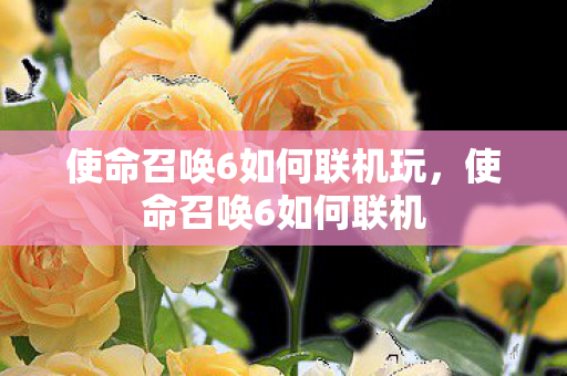 使命召唤6如何联机玩图片