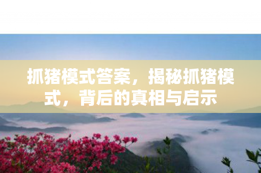 抓猪模式答案，揭秘抓猪模式，背后的真相与启示