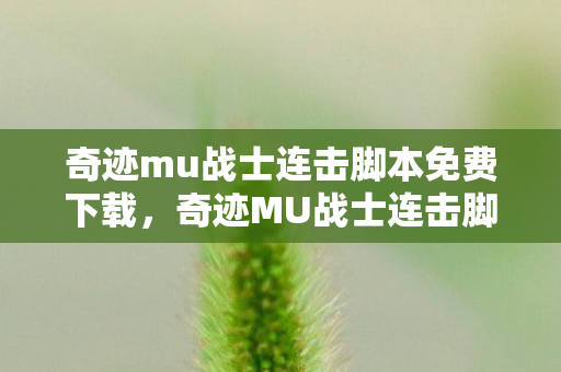 奇迹mu战士连击脚本免费下载图片