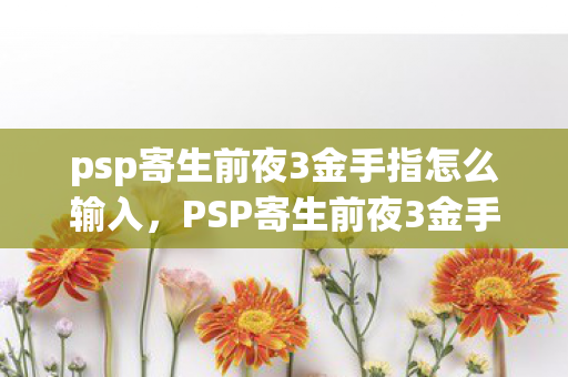 psp寄生前夜3金手指怎么输入图片