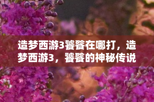 造梦西游3饕餮在哪打图片