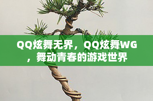 QQ炫舞无界，QQ炫舞WG，舞动青春的游戏世界