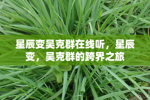 星辰变吴克群在线听图片