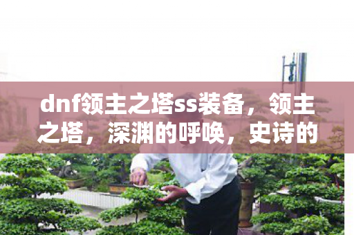 dnf领主之塔ss装备图片