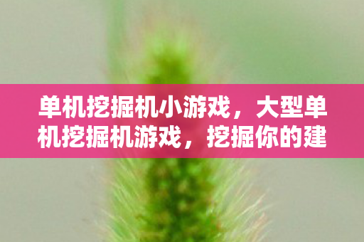 大型单机挖掘机游戏图片