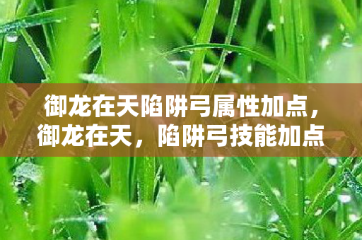 御龙在天陷阱弓属性加点图片