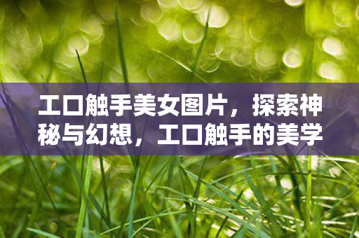 工口触手的美学之旅图片